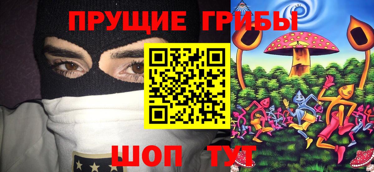 купить наркотики сайты  Псилоцибиновые грибы мицелий  Острогожск  Вход с VPN  Галлюциногенные грибы ЛСД 