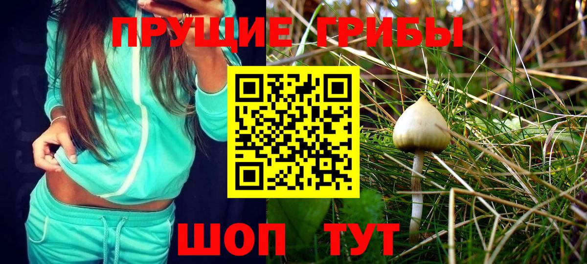 Псилоцибиновые грибы GOLDEN TEACHER Острогожск